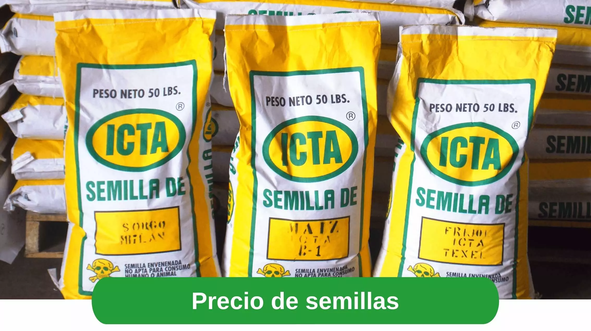 Precio de semillas